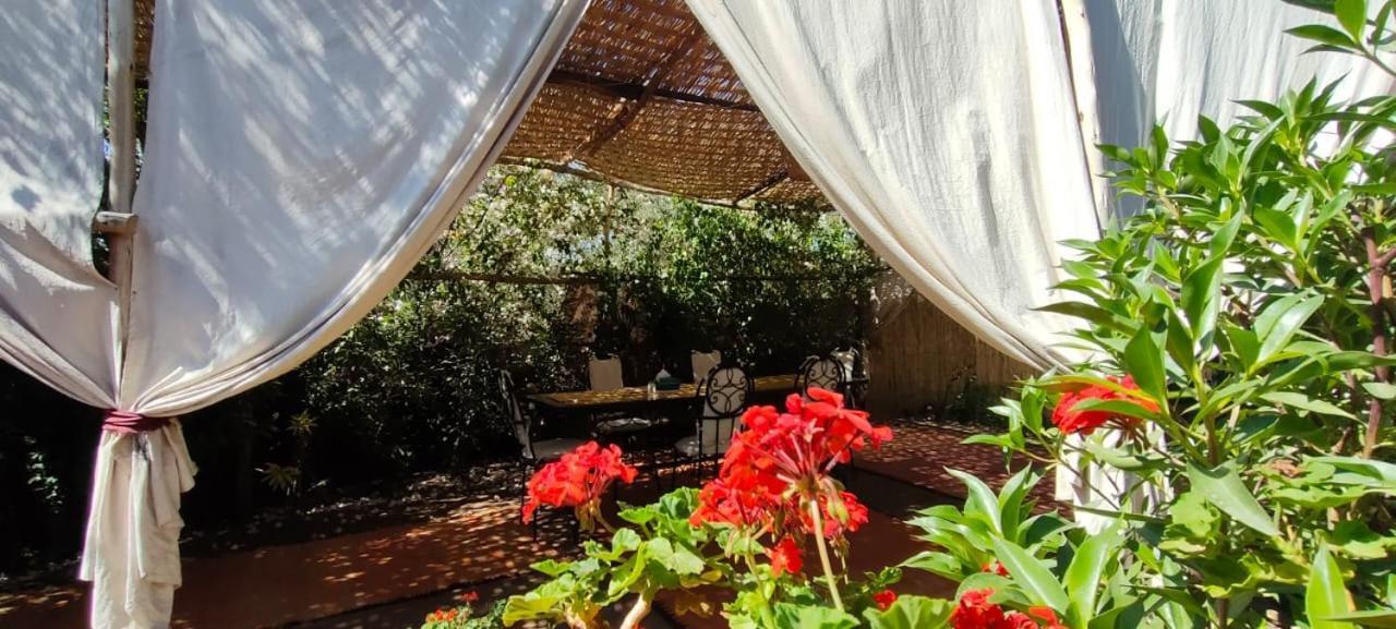 Dar Tadout Guest House Aït Ourir Exterior foto